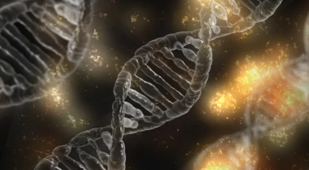 الوراثة الجينية 1 - 15 عنصر غذائي يساعدك على تحسين الوراثة الجينية