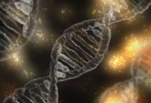 الوراثة الجينية 1 220x150 - 15 عنصر غذائي يساعدك على تحسين الوراثة الجينية