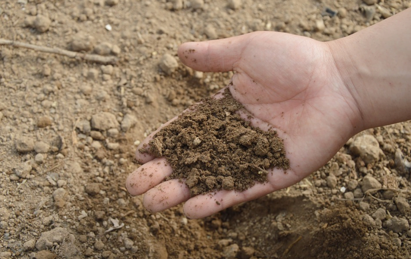 العضوية - ما هي أفضل أنواع الأسمدة وفوائدها علي التربة والزرع